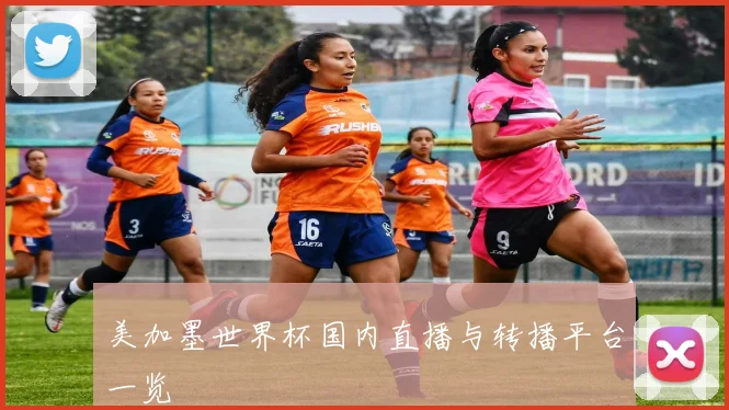 美加墨世界杯国内直播与转播平台一览