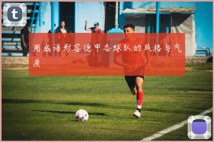 用成语形容德甲各球队的风格与气质